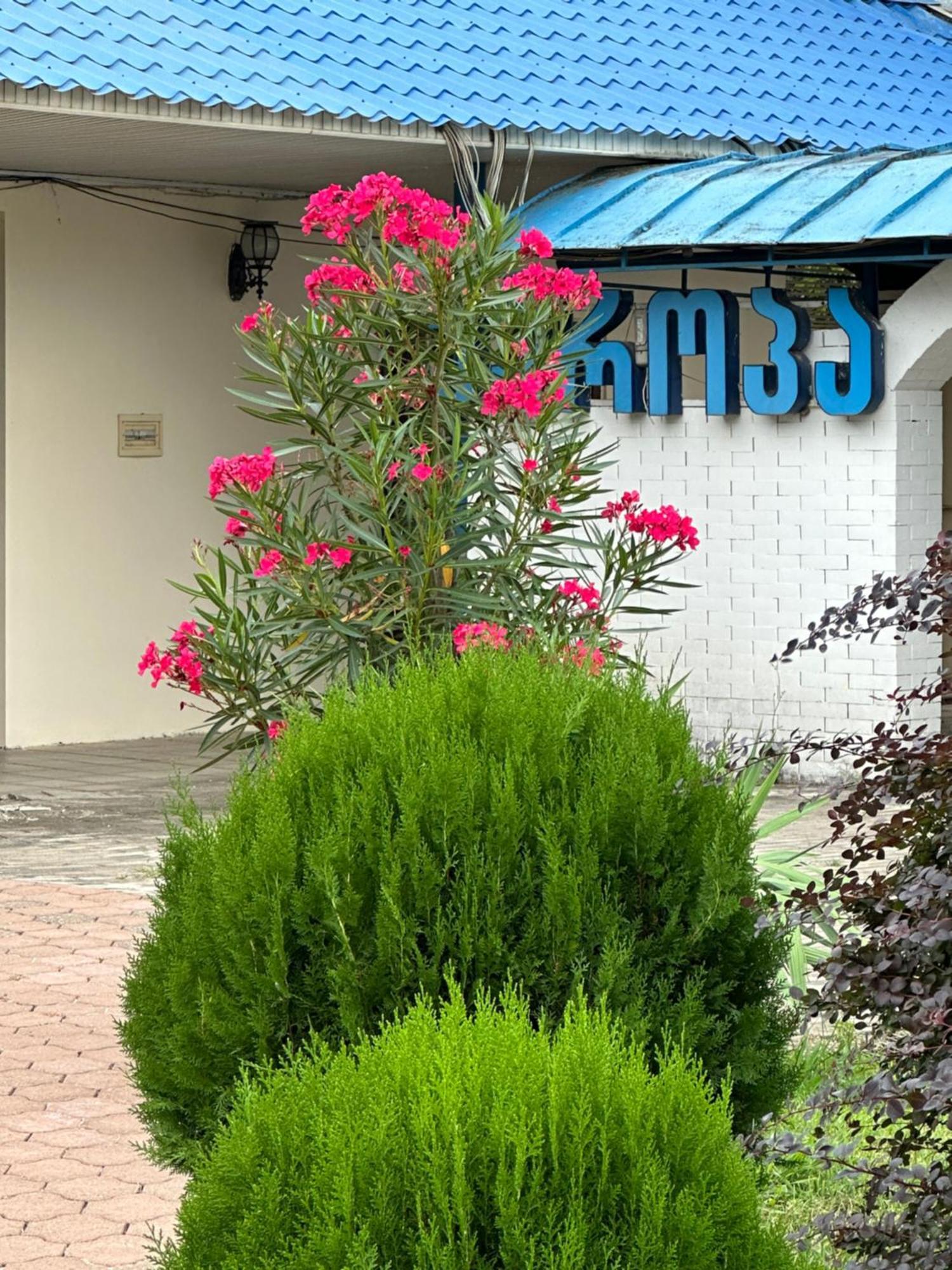 Europa Hotel-Kutaisi Ngoại thất bức ảnh